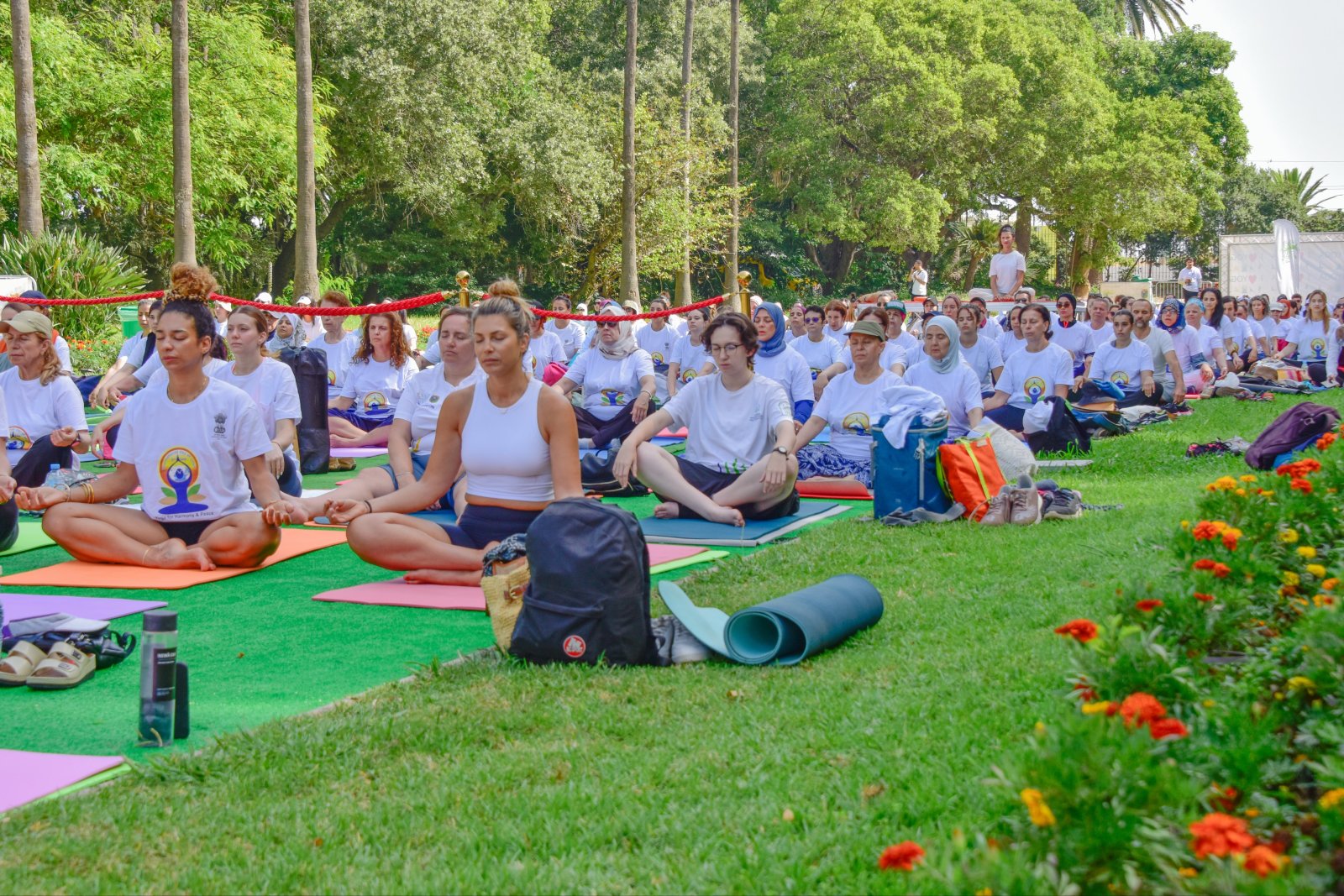 Celebration of the 12th International Day of Yoga in Algiers on 21 June 2026.