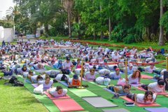 Celebration of the 12th International Day of Yoga in Algiers on 21 June 2026.