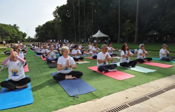 8th International Day of Yoga was held in Algeria at Le Jardin d'Essai du Hamma with the towering Maqam Echahid in background. Algerians, diplomats and the Indian diaspora joined with great zeal!